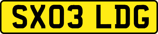 SX03LDG