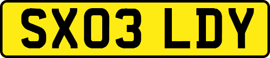 SX03LDY
