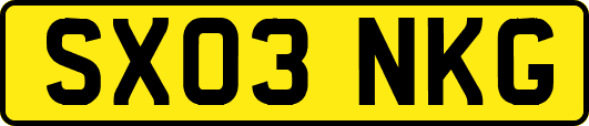 SX03NKG