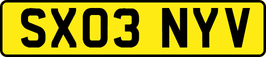 SX03NYV