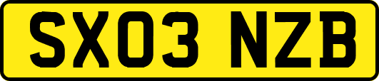 SX03NZB