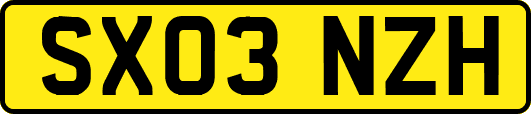 SX03NZH