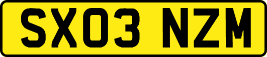 SX03NZM