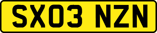 SX03NZN
