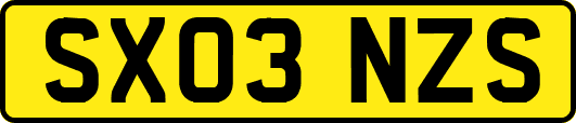 SX03NZS