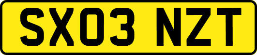 SX03NZT