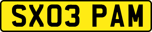 SX03PAM