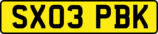 SX03PBK