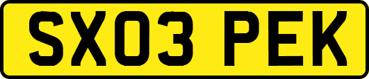 SX03PEK