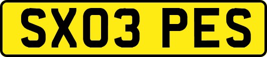 SX03PES
