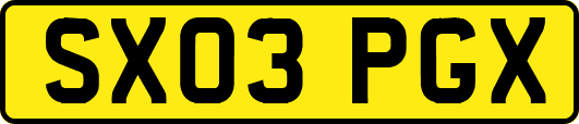 SX03PGX