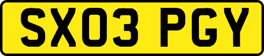 SX03PGY