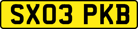 SX03PKB