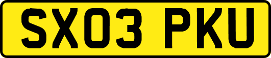 SX03PKU