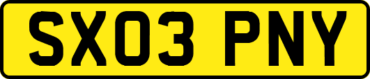 SX03PNY