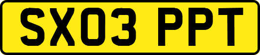 SX03PPT