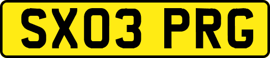 SX03PRG