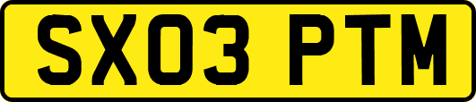 SX03PTM