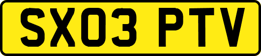 SX03PTV
