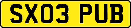 SX03PUB
