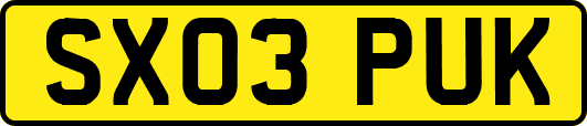 SX03PUK