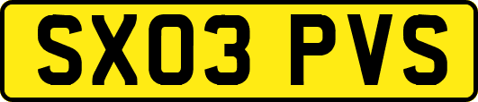 SX03PVS