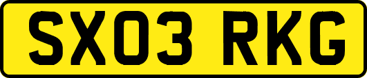 SX03RKG