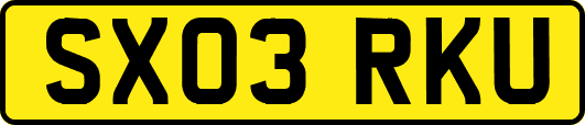 SX03RKU