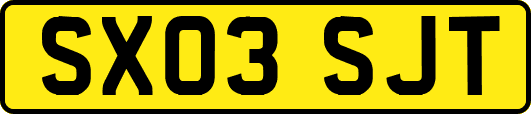 SX03SJT