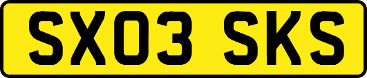 SX03SKS