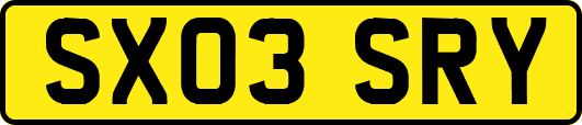 SX03SRY