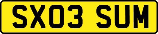 SX03SUM