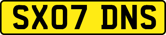 SX07DNS