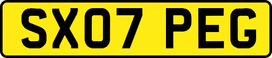 SX07PEG