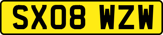 SX08WZW