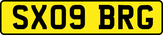 SX09BRG