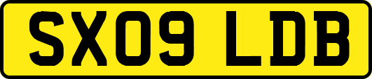 SX09LDB