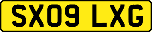 SX09LXG