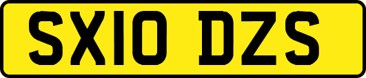 SX10DZS