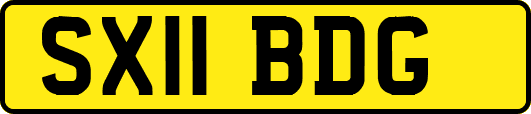 SX11BDG
