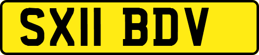 SX11BDV