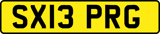 SX13PRG