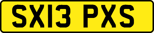 SX13PXS