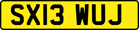 SX13WUJ