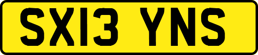 SX13YNS