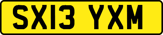 SX13YXM