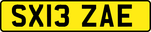 SX13ZAE