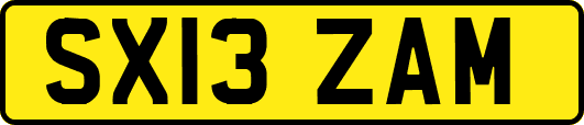 SX13ZAM