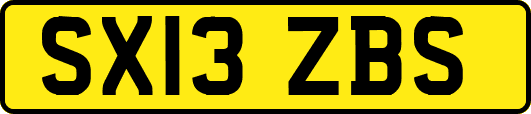 SX13ZBS