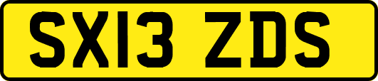 SX13ZDS